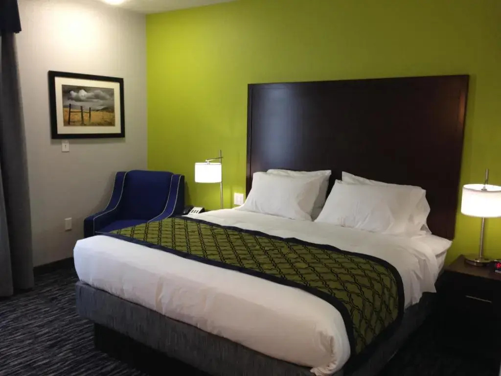 Hawthorn Extended Stay by Wyndham Midland - Chambres