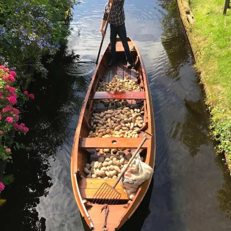 De Dames Van De Jonge Hotel Restaurant - Général