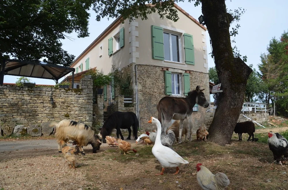 La Ferme Des Vergnes
