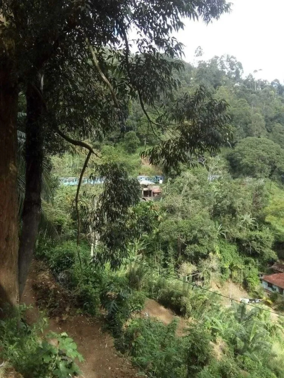 Madhara Home Stay Ella