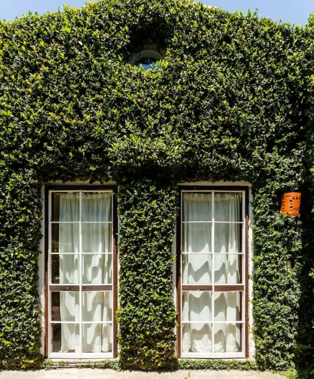 The Green House