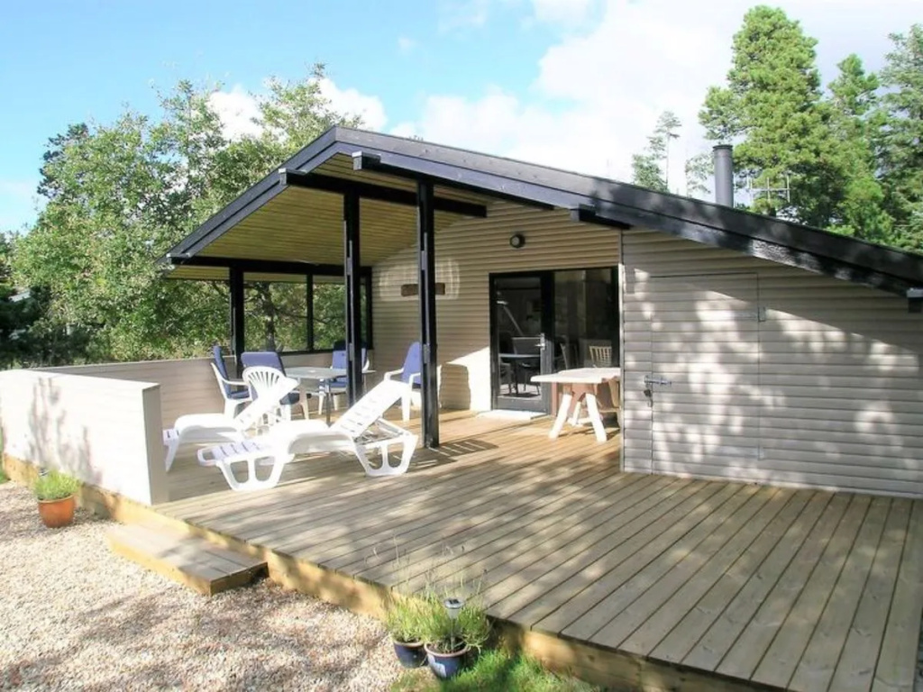 "Snezana" - 1.5km from the sea in Western Jutland