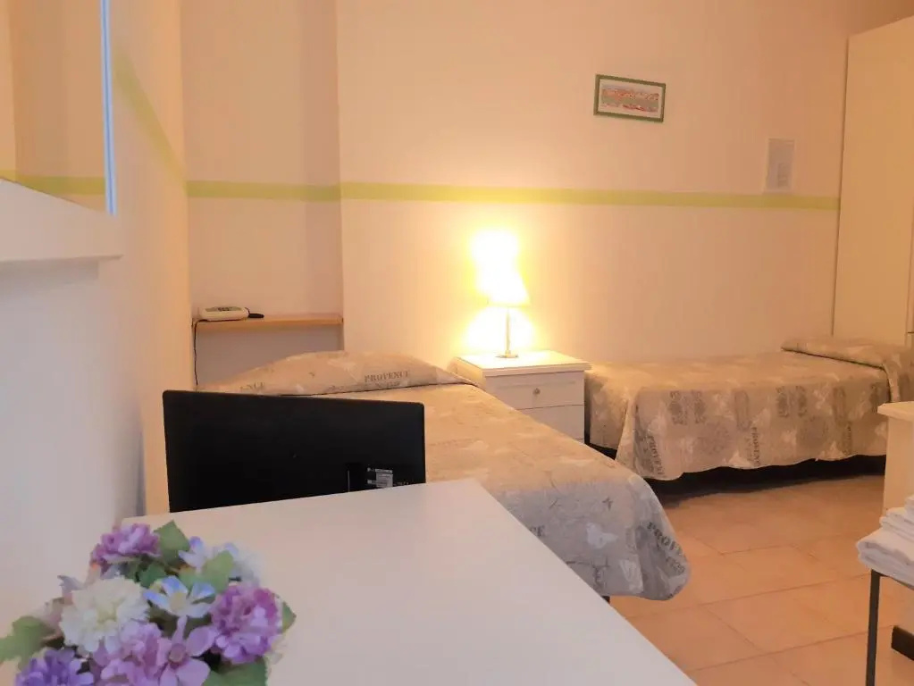 Economy Double room (twin beds)