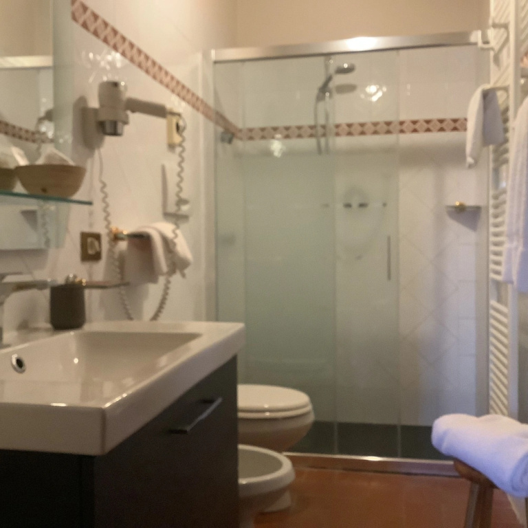 Superior Double room (full double bed)