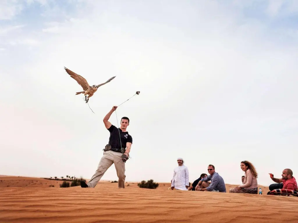 Adagio Premium Dubai Al Barsha - Général