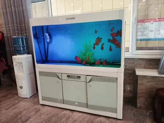 Jiayuguan Zhucheng Hotel — фото 3