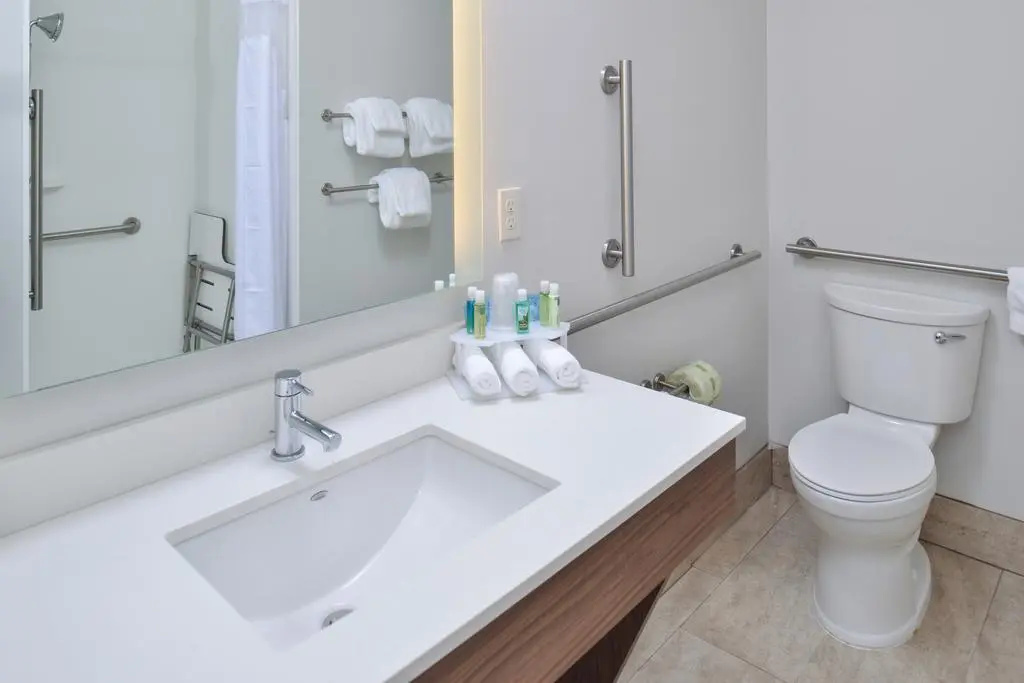 Holiday Inn Express & Suites Farmington Hills - Detroit by IHG - Général