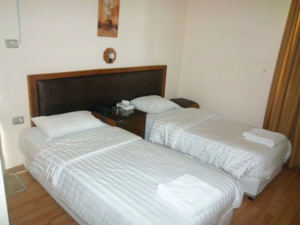 Standard Double room (twin beds)