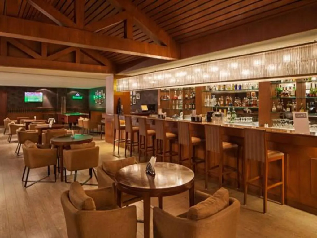 DLF Club 5 - Général