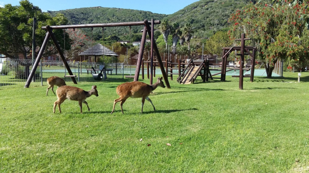 Brenton Park Holiday Cottages