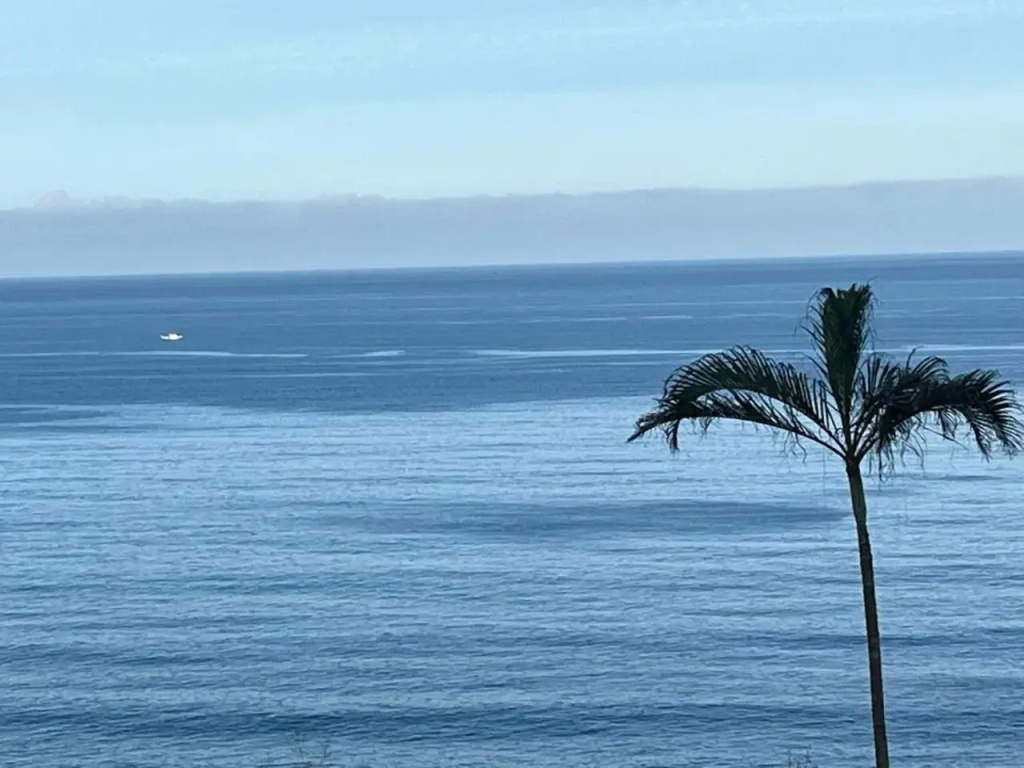 Hotel photo 44