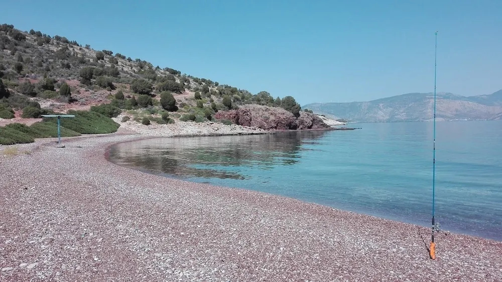 Beach & Waterfront