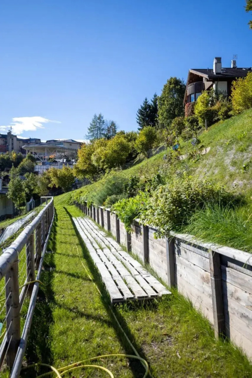 Giallo Dolomiti