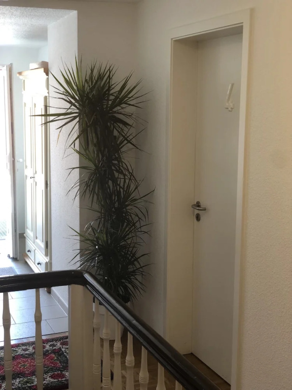 Balcony & Terrace