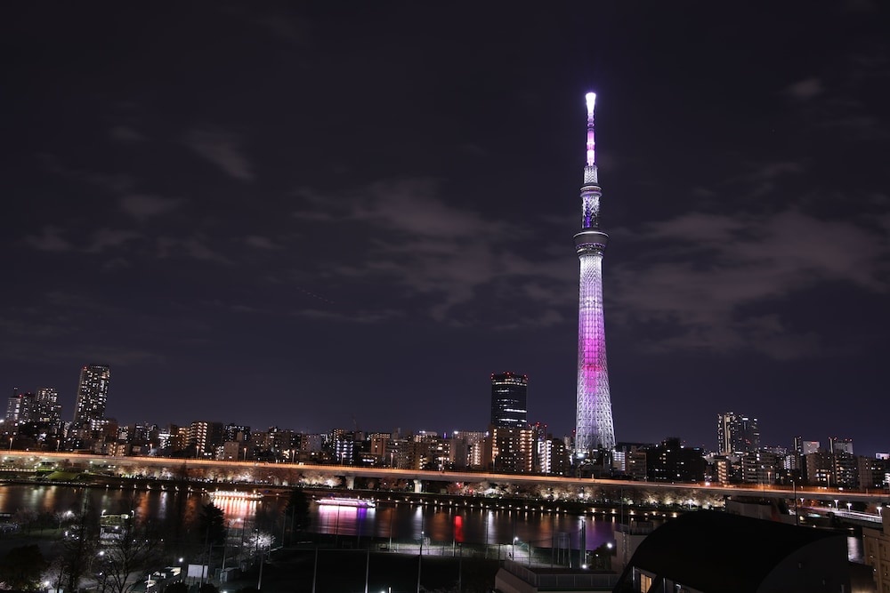 Cob Hotel Asakusa 사진 12