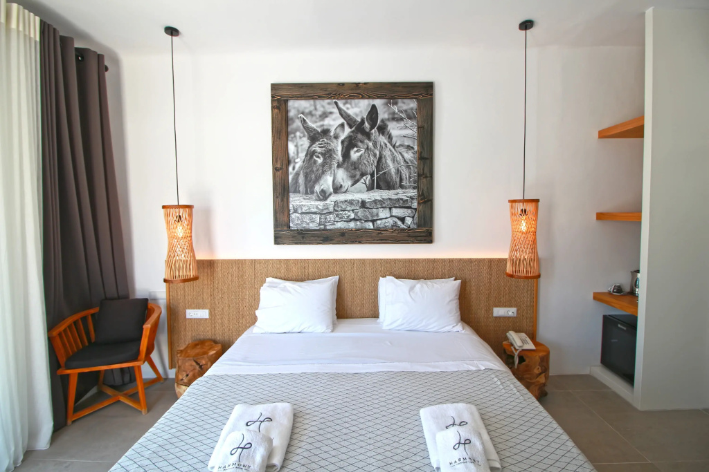 Harmony Boutique Hotel - Général