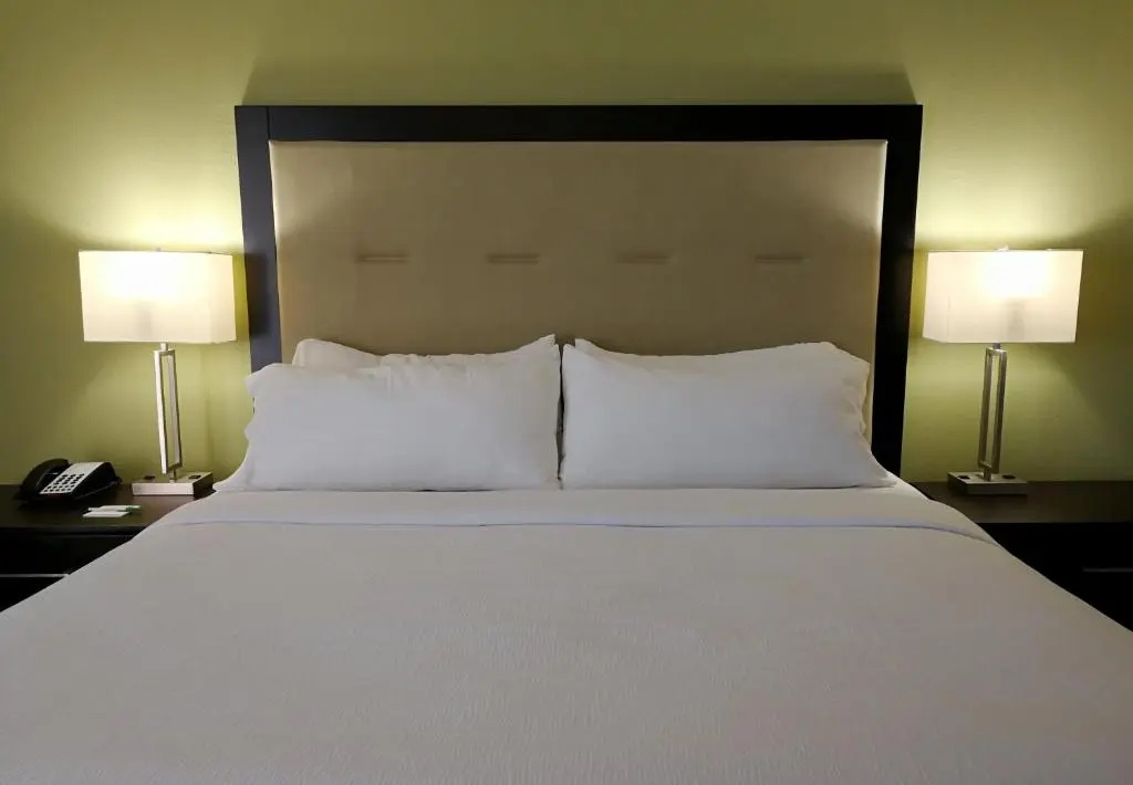 Holiday Inn Corpus Christi Downtown Marina by IHG - Chambres