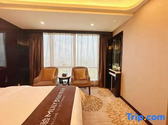 Venus Royal Hotel - Chambres