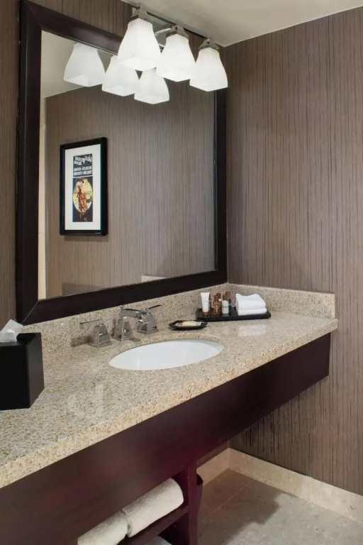 Sheraton North Houston at George Bush Intercontinental - Chambres