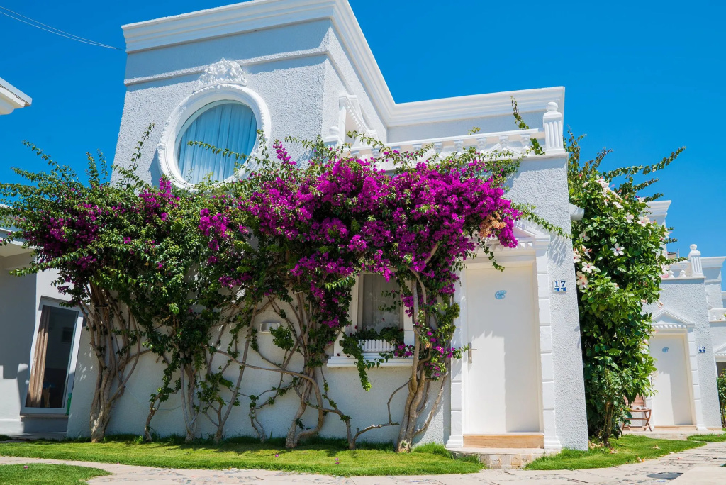 Art Suites Hotel Bodrum — фото