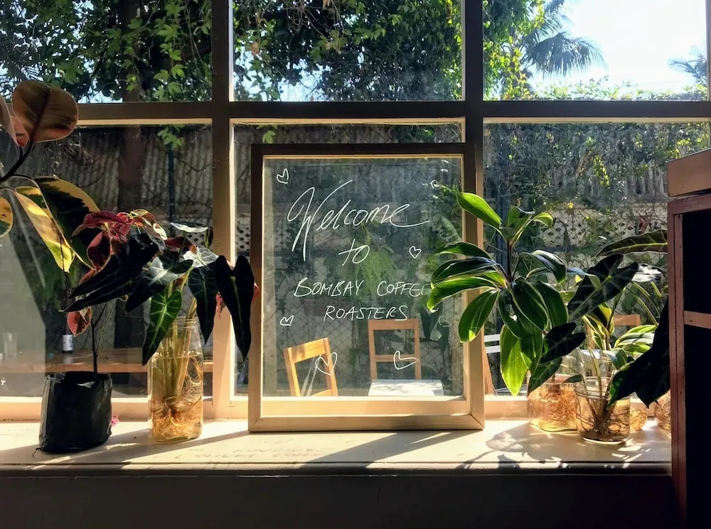 JUNGLE by thehostelcrowd