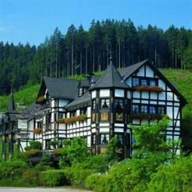Hotel Jagdhof Glashütte - Général