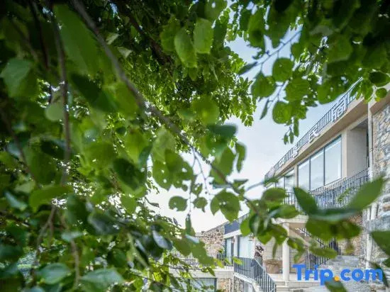 Wenling Shitang Sixi Homestay