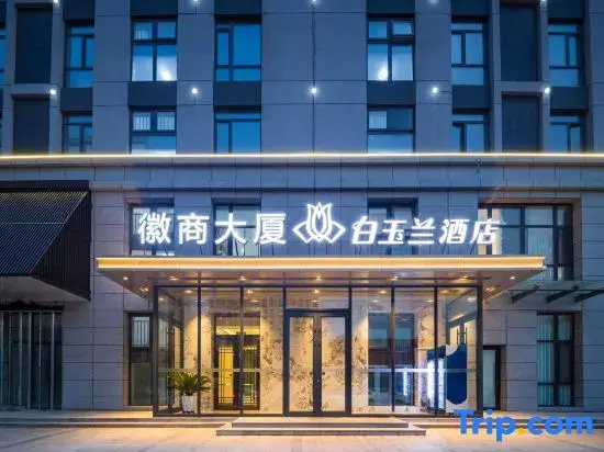 Magnotel Classic Hotel Shenyang Shenbei University Wanda Plaza Store