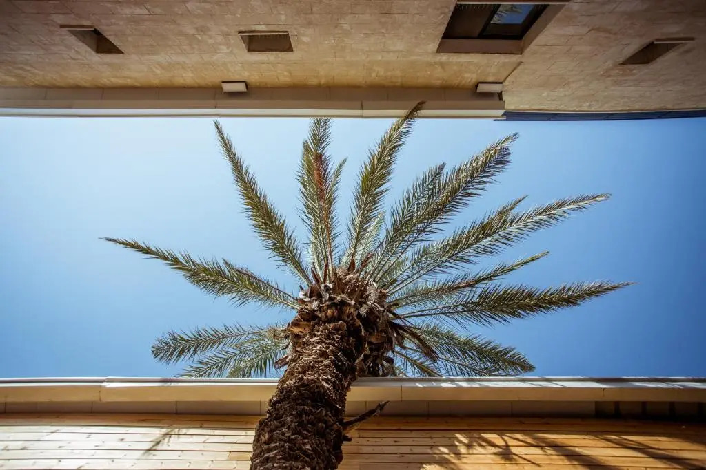 The Negev Hotel — фото