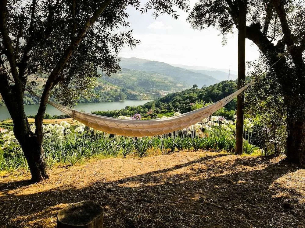 Casa da Mouta - Douro Valley
