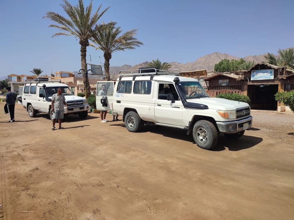 White palace camp ex camp david - фото 23