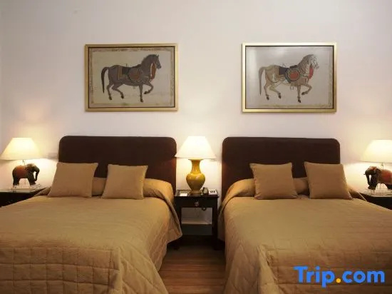 Deluxe Double room with city view (twin beds)