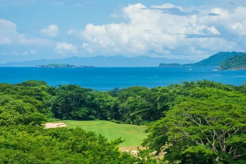 Jobo 16 - фото 4