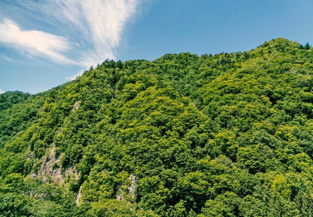 Grand Blissen Hotel Jozankei 사진 5