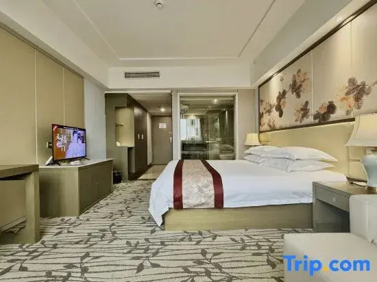 Standard Double room with city view (full double bed)