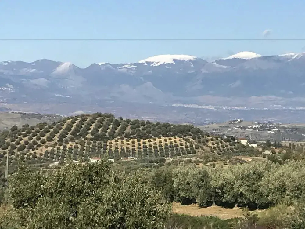 Agriturismo Torre Cocciani