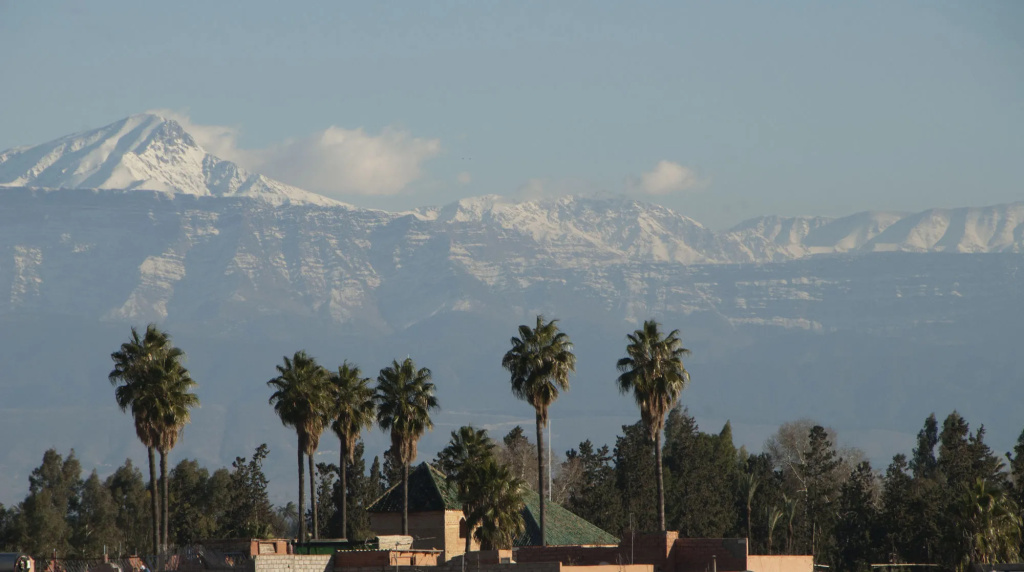 Riad Jonan - 2