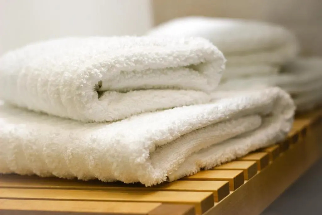 ECO Boutique Hotel AMS Beagle - Chambres