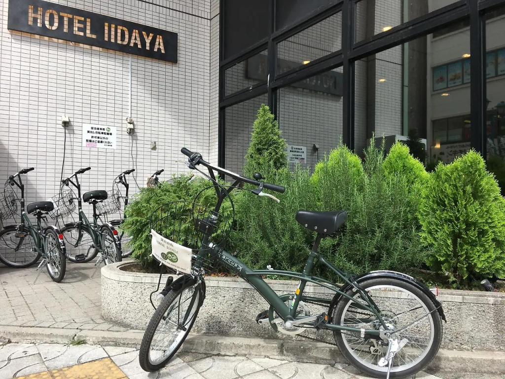 Hotel Iidaya