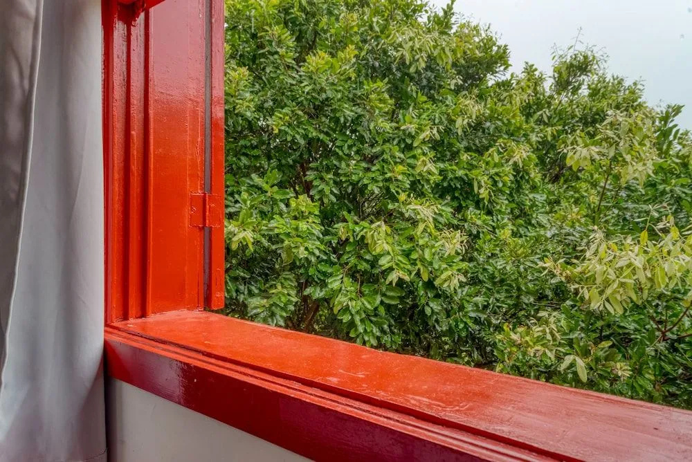 Balcony & Terrace
