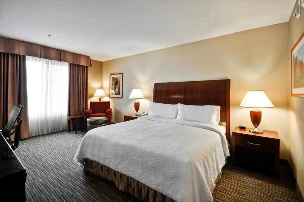 Hilton Garden Inn Tampa Northwest/Oldsmar - Chambres