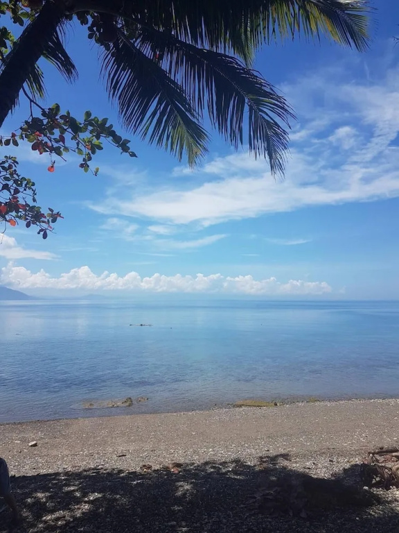 Beach & Waterfront