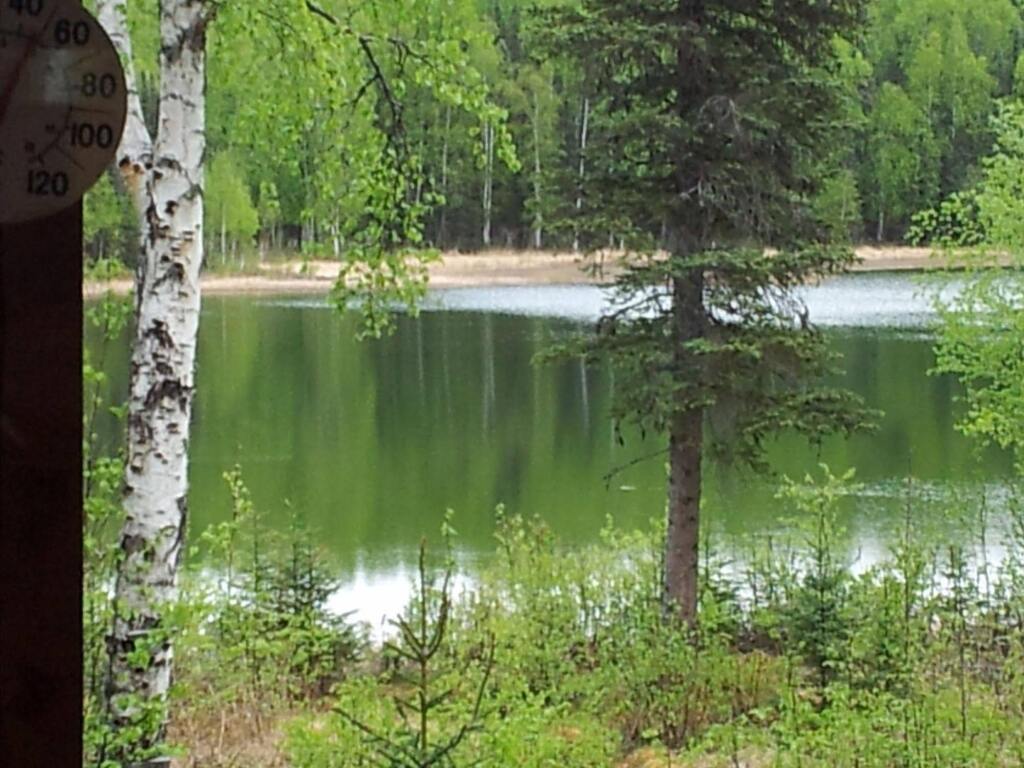 Image 8