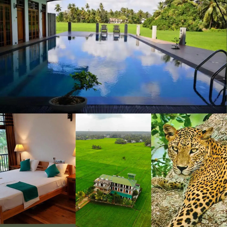 Serene Park Hotel - Général