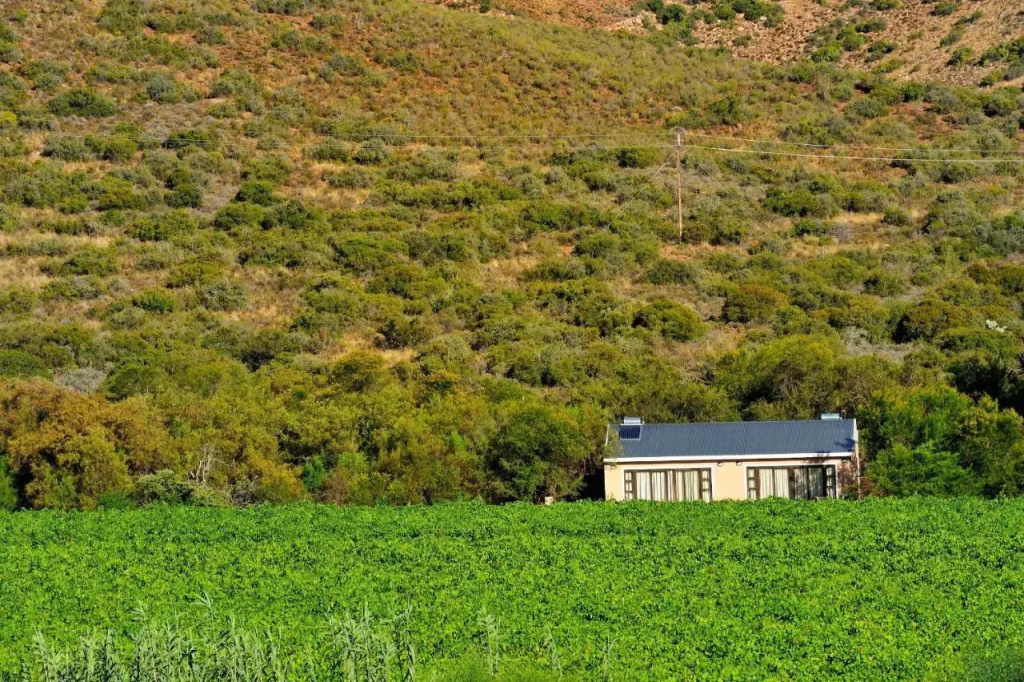 Mymering Guest House
