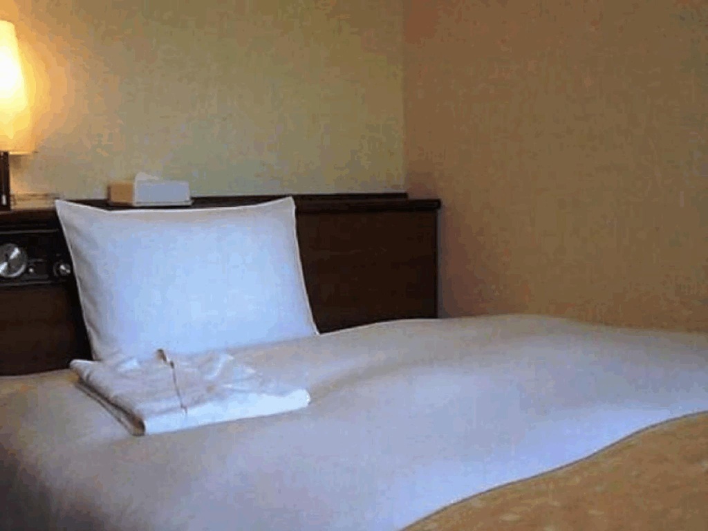 Chisun Hotel Hamamatsucho 사진 5