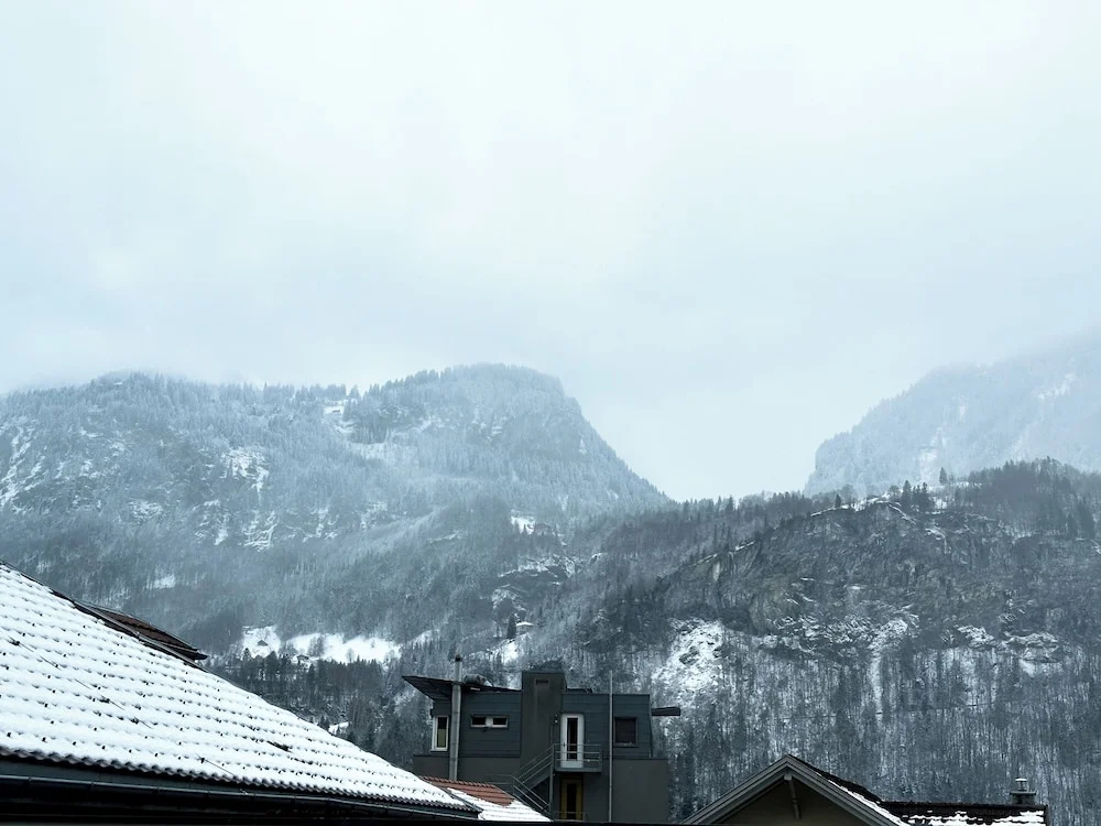 Hotel Rebstock - Chambres