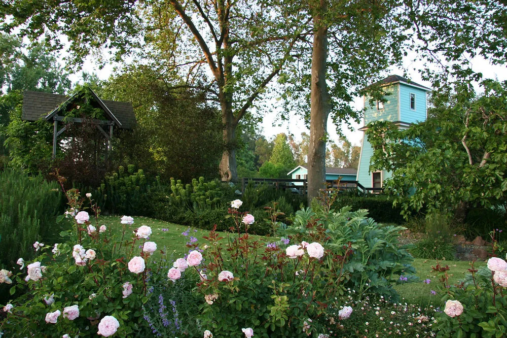 Case Ranch Inn - Général