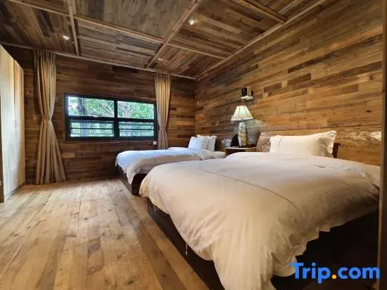 Standard Attic room