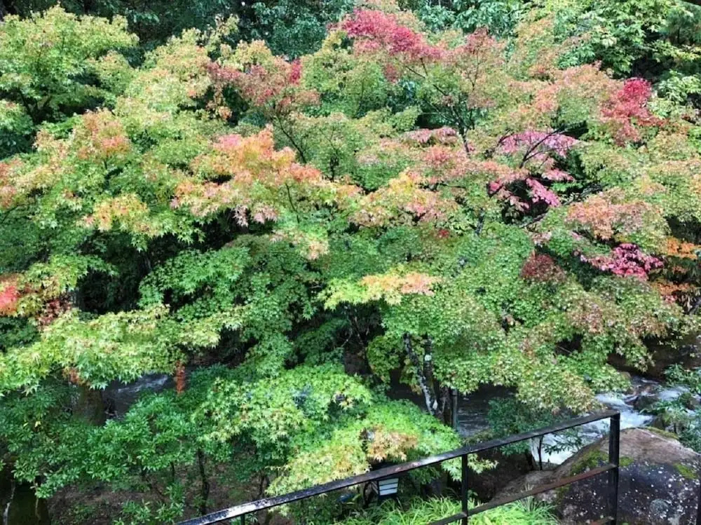Shohakuen 사진 18